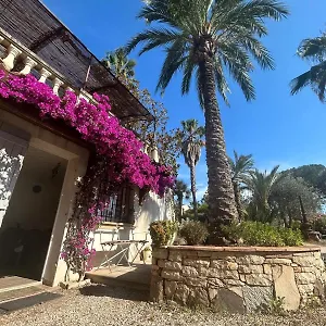 Les Palmiers , Fréjus France