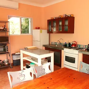  Apartment Casa Gatos Mexico